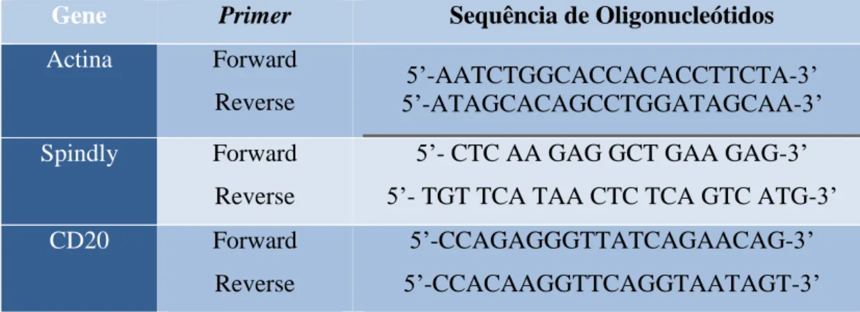 Tabela 2. 5 - Sequência oligonucleotídica dos primers utilizadospara a amplificação  dos genes Actina, Spindly e CDC20