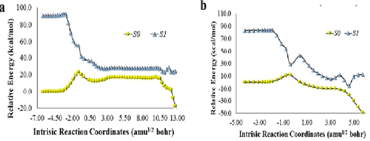 Figure 2- Potential energy curves of S 0  and S 1  states, as a function of intrinsic reaction  coordinates, of model (Scheme 9, R 2 =R 3 =CH 3 ) neutral (a) and anionic (b) dioxetanone