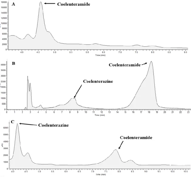 Figure 10- Chromatograms obtained for the reaction mixtures of Coelenterazine  CL in  DMF  (A),  acetonitrile  (B)  and  diethyl  ether  (C),  all  with  addition  of  NaOH  0.1M