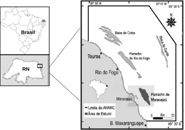 Figura  04:  Limites  da  Área  de  Proteção  Ambiental  dos  Recifes  de  Corais  (APARC),  destacando a área de estudo, os parrachos de Maracajaú (modificado de Amaral et al., 2005).