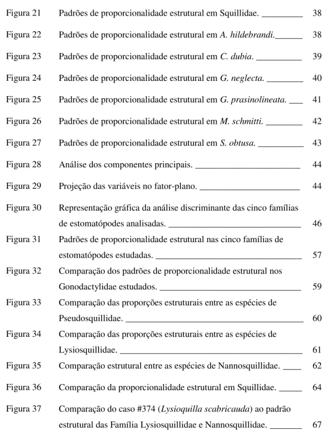 Figura 21 Padrões de proporcionalidade estrutural em Squillidae. _________  38  Figura 22 Padrões de proporcionalidade estrutural em A