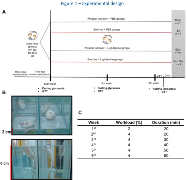 Figure 1 – Experimental design