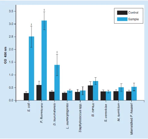 Figure  5.  Results  for  the  specificity/sensitivity  test  of  peptide  nucleic  acid-in  situ  hybridization procedure