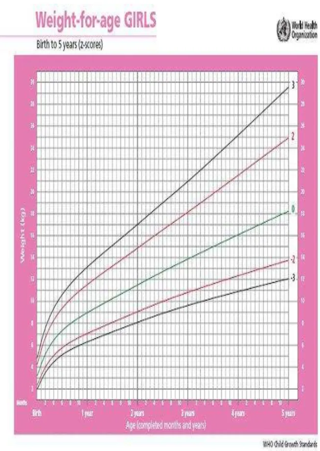 Figura 6 - Curva de crescimento do peso para idade para o gênero feminino  (OMS, 2006)