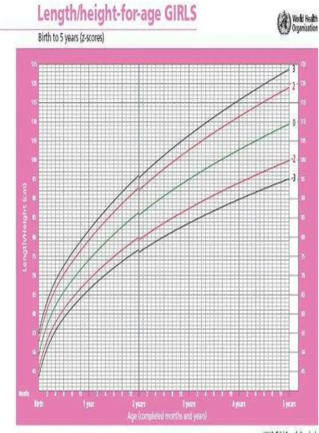 Figura 7 - Curva de crescimento da altura para idade para o gênero feminino (OMS, 2006)