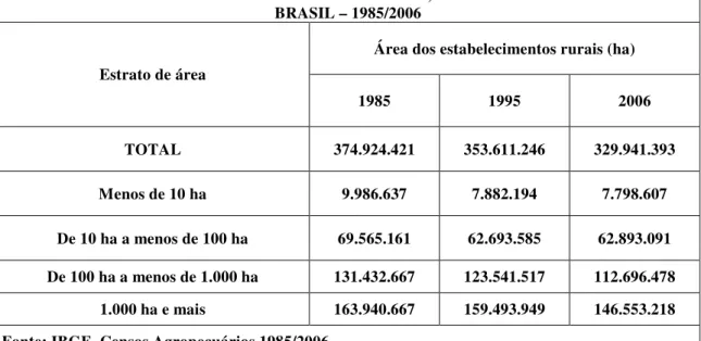 TABELA 1 – ÁREA DOS ESTABELECIMENTOS RURAIS, SEGUNDO O ESTRATO DE ÁREA  BRASIL – 1985/2006 