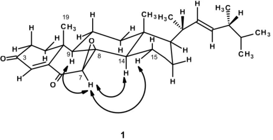 Figure 3. Key ROESY correlations ( ) of compound 1. 