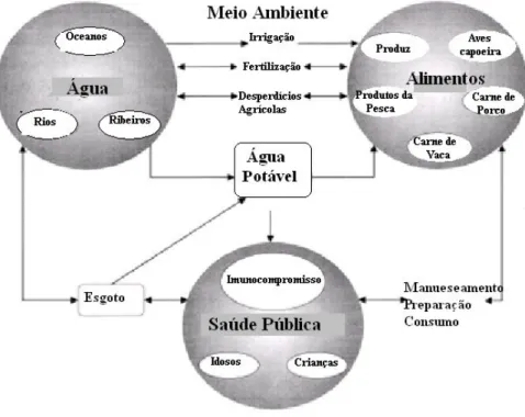 Figura 2 - Ligação Alimento-Água entre saúde pública e o meio ambiente (T. Slifko et  all, 2000)