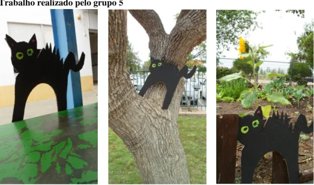 Fig. 5.5: Gato preto 