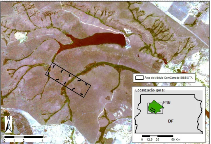Figura 1. Localização geral do sítio de estudo e do módulo ComCerrado-SISBIOTA no Parque  Nacional de Brasília