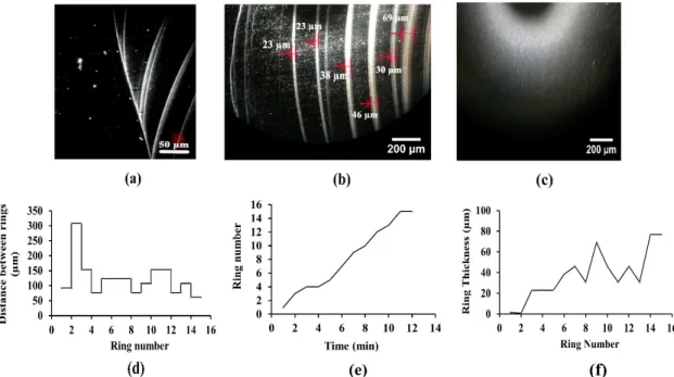 Figure 6 shows images of drying stages and the characteristic plots of multiple-ring formation, for concentrated phage suspension