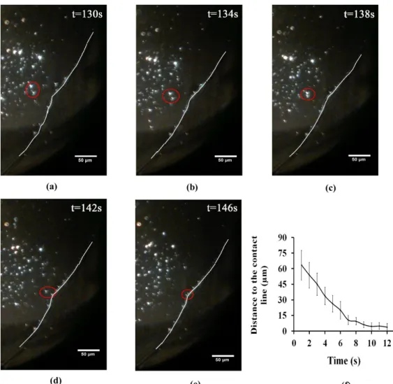 Figure 2. Sequential images (a–e) showing phage movement towards the contact line for diluted  dialyzed phage (10 9  pfu/mL); and (f) illustrates phage distance to the contact lines vs