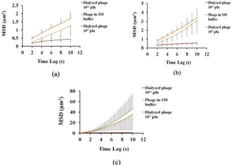 Figure 4. Mean square displacement of phage nanoparticles under different conditions with (a) τ = 5; 