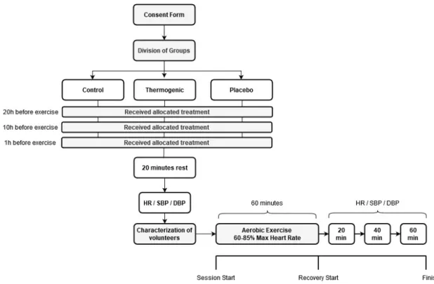 Table 1 – Anthropometric variables of the participants