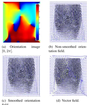 Figure 3: Orientation image (a) and respective orientation fields (non-smoothed (b) and smoothed (c)) and vector field (d).