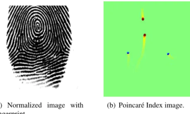 Figure 4: Detection of the singular points in image (a) using the Poincaré Index. The cores are represented in red while the deltas are represented in blue.