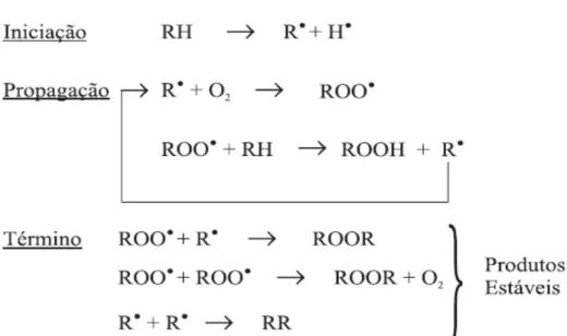 Figura 10  –  Etapas das reações de rancidez oxidativa. 