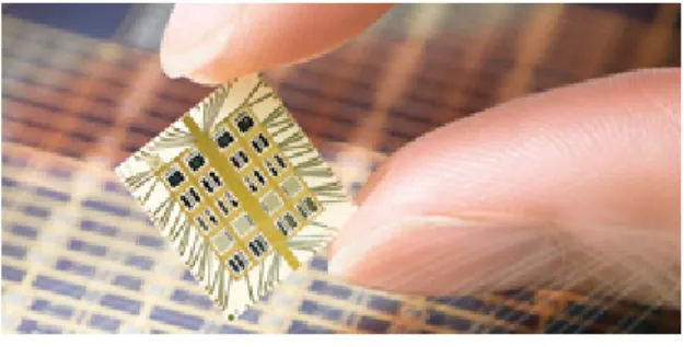 Figura 3 - Tecnologia Microchip. Adapatado de Massachusetts Institute Technology, 1999 