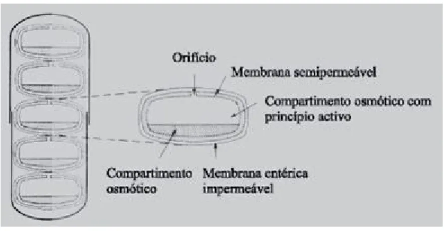Figura 7 - Tecnologia OROS ®. Adaptado de Theeuwes et al., 1993 