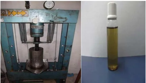 Figura  4.1:  Obtenção  do  óleo  das  sementes  de  C.  guianensis  por  extração  mecânica  em  prensa hidraúlica marca Ribeiro