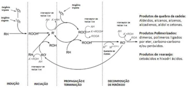 Figura 9  –  Mecanismo de ação dos antioxidantes na oxidação lipídica 