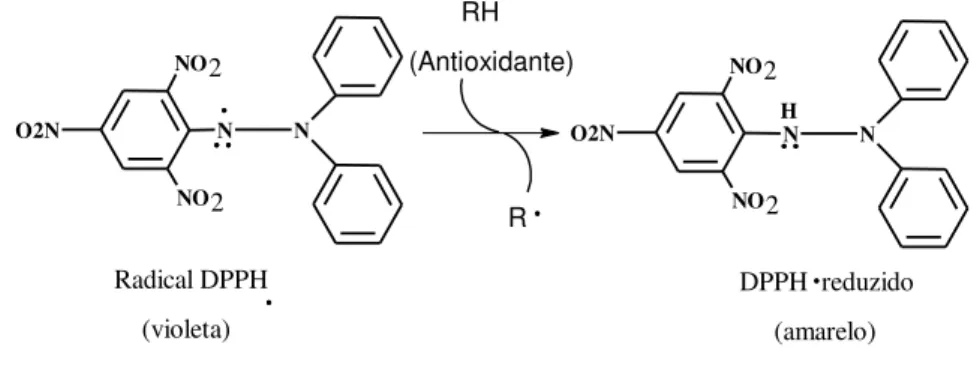 Figura 10  –  Estrutura do radical DPPH •  e reação de estabilização com um antioxidante