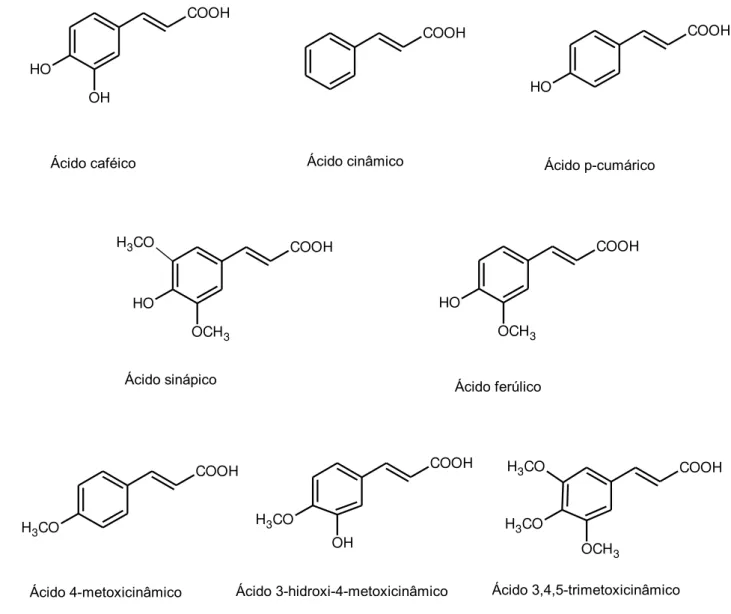 Figura 4  –  Estruturas químicas de alguns ácidos cinâmicos encontrados em mel 