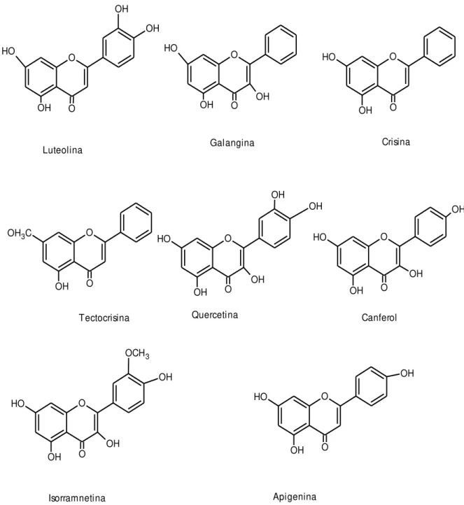 Figura 5  –  Estruturas químicas de alguns flavonóides encontrados em mel 