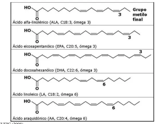 Figura 1 – Ácidos graxos essenciais n-3 e n-6 e suas conformações cis. 