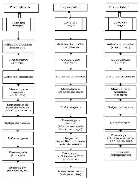 Figura 3 - Fluxograma das etapas da elaboração dos queijos de coalho das três microrregiões 