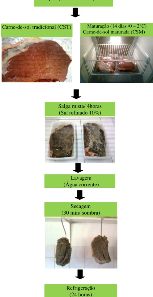 Figura 1- Fluxograma das etapas do processamento das carnes-de-sol. 