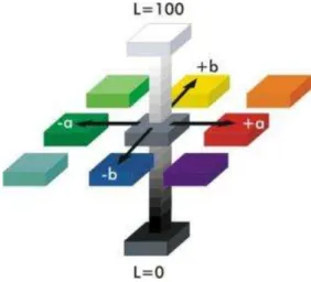 Figura 1 - Espaço de cor CIELAB (Sistema de cores Hunter).