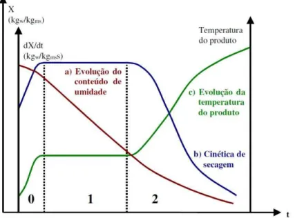 Figura 4  –  Curva de secagem exemplo  Fonte: (PARK et al., 2007) 