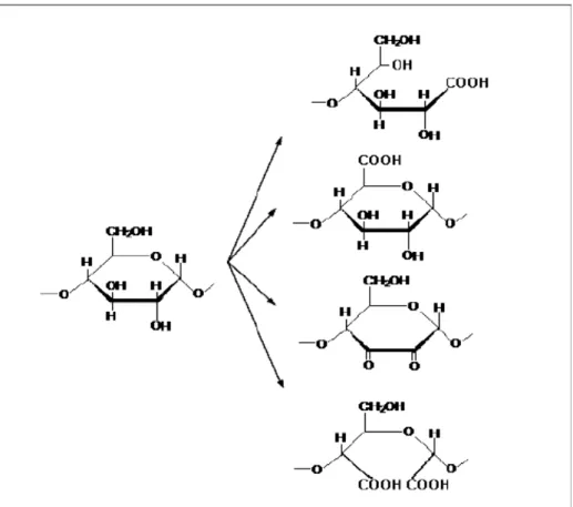 Figura  10    Representação  esquemática  das  principais  reações  que  ocorrem durante a oxidação
