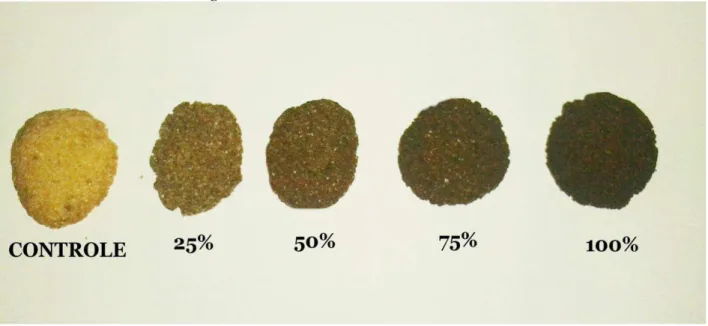 Figura 4 - Biscoitos a base de farinha de casca de banana 