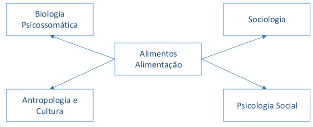 Figura 3.2 - Esquema sobre o construto “alimentos / alimentação”. 