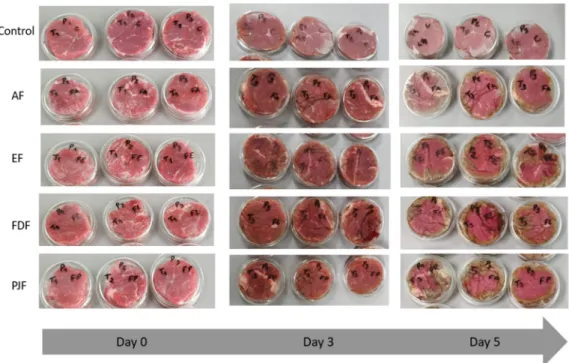 Figure 4. Visual appearance of color meat samples changes during the five days of storage at  refrigerated temperature (4 °C)