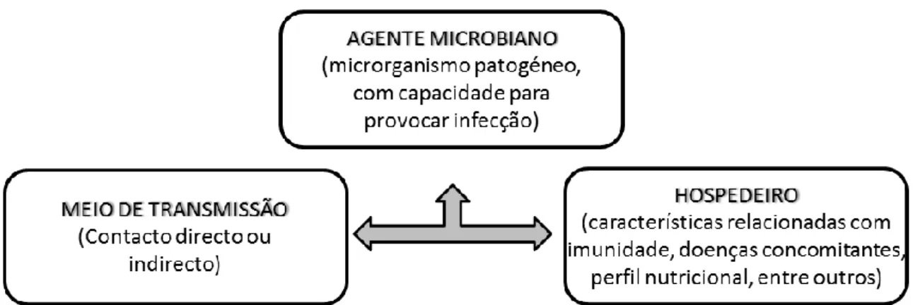 FIGURA 1 - Cadeia de Infecção (Adaptado de Correia 2009). 
