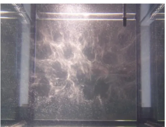 FIGURA 8  -  Pormenor  do interior de um  banho de ultrassons  (Mettin,  R. (2011).  The  secret  life  of  bubbles  -  cleaning  with  ultrasound