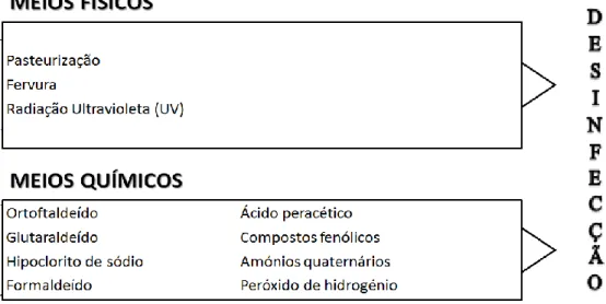FIGURA  10  -  Principais  meios  de  desinfecção  e  respectivos  agentes  mais  utilizados  (Adaptado de Acosta-Gnass e Stempliuk 2008)