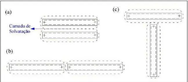 Figura 04: Tipos de interação em solução aquosa de partículas defloculadas de montmorilonita