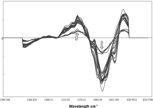 Figure 4.  2ndDer pre-process spectra of all peach nectar samples acquired from 1500 to 850 cm -1 