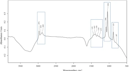 Figure 2. Fourier transform infrared spectroscopy–Attenuated Total Reflection (FTIR-ATR)  absorbance spectra of wine spirit samples
