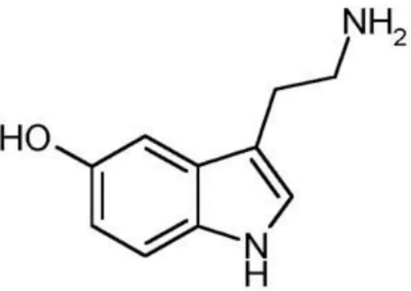 Figura 2 - Estrutura química da serotonina (Meldau, 2011). 