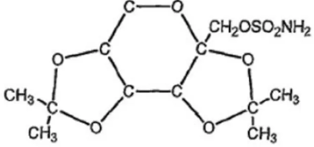 Figura 6 - Estrutura química do topiramato (Shank et al., 2000). 