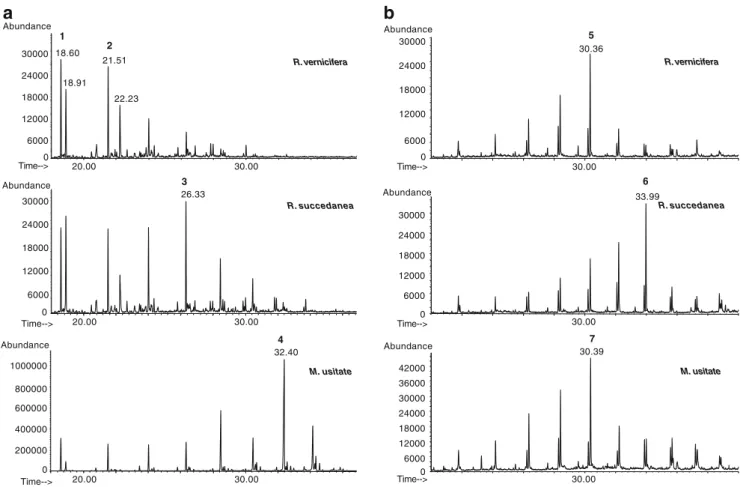 Fig. 2 m/z=104 mass chromatogram (a) and m/z=108 mass chromatogram (b) of the three types of oriental lacquer