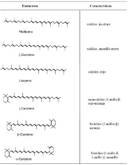 Tabela 2 - Estrutura e características dos carotenóides comuns nos alimentos.