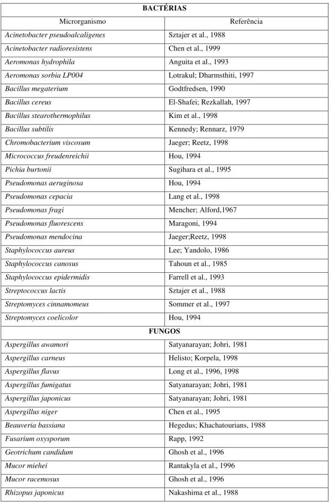 Tabela 01  –  Microrganismos produtores de lipases. 