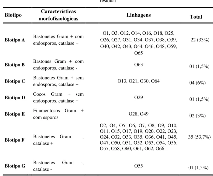 Tabela 06 – Biotipos das linhagens bacterianas isoladas do solo contaminado com óleo vegetal  residual 