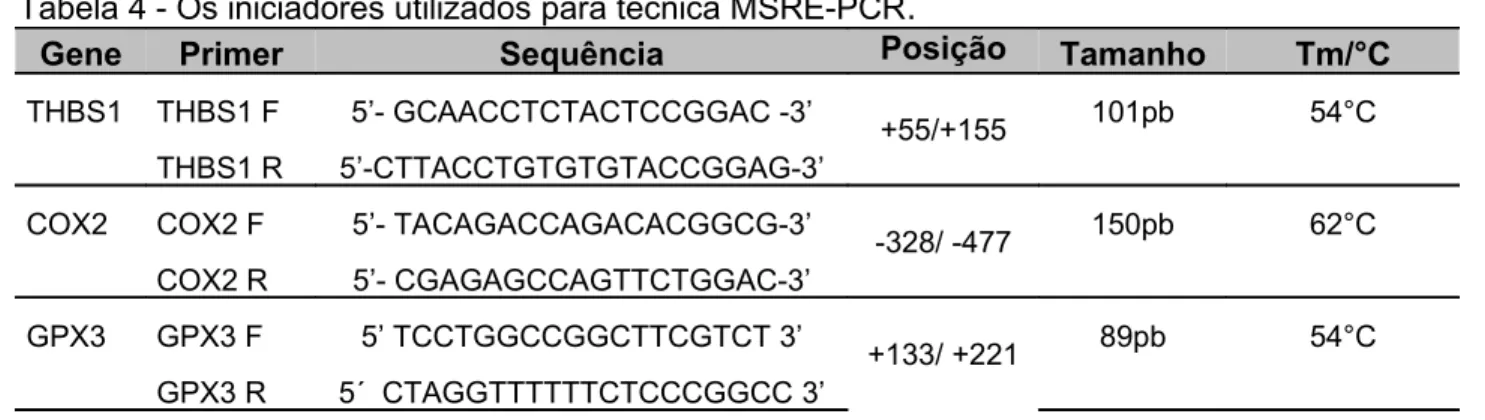 Tabela 4 - Os iniciadores utilizados para técnica MSRE-PCR .